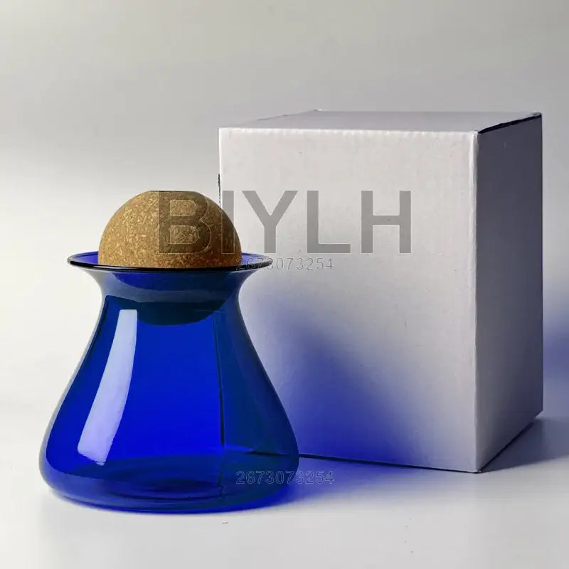 DecorBites™ Nordic Glass Vase for Home Decor - Small Transparent Vase