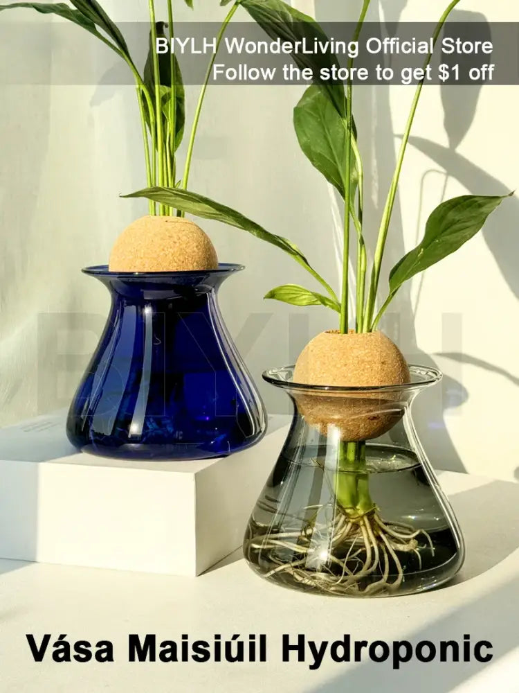 DecorBites™ Nordic Glass Vase for Home Decor - Small Transparent Vase