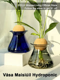 Deep blue glass vase with cork stopper and green plant for home decor by DecorBites nordic glass vase small transparent