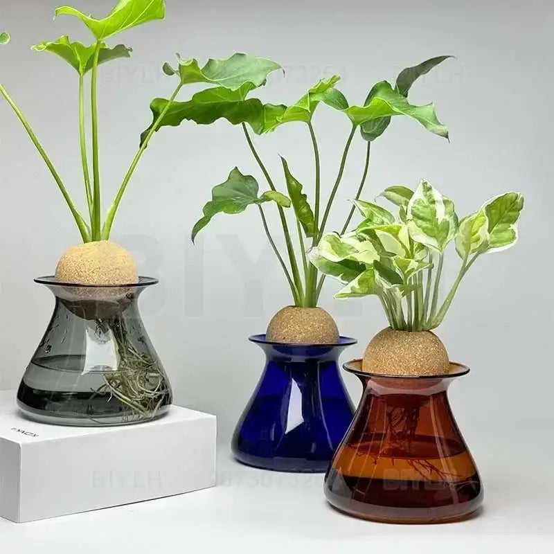 DecorBites™ Nordic Glass Vase for Home Decor - Small Transparent Vase