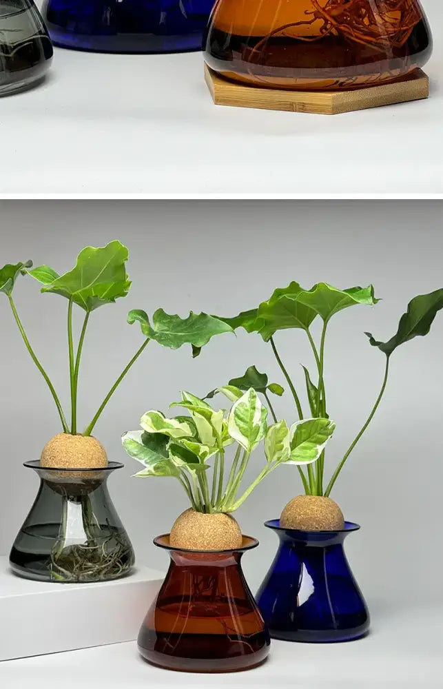 DecorBites™ Nordic Glass Vase for Home Decor - Small Transparent Vase