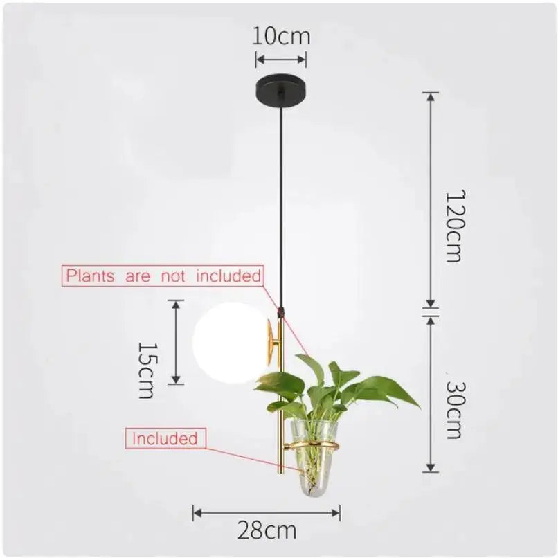 Modern DecorBites™ pendant planter light with black mount, brass frame, clear glass vase, and integrated white globe bulb
