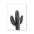 Black-and-white printed cactus art print featuring saguaro plant with spines for pink aesthetic wall art decorBites™ prints