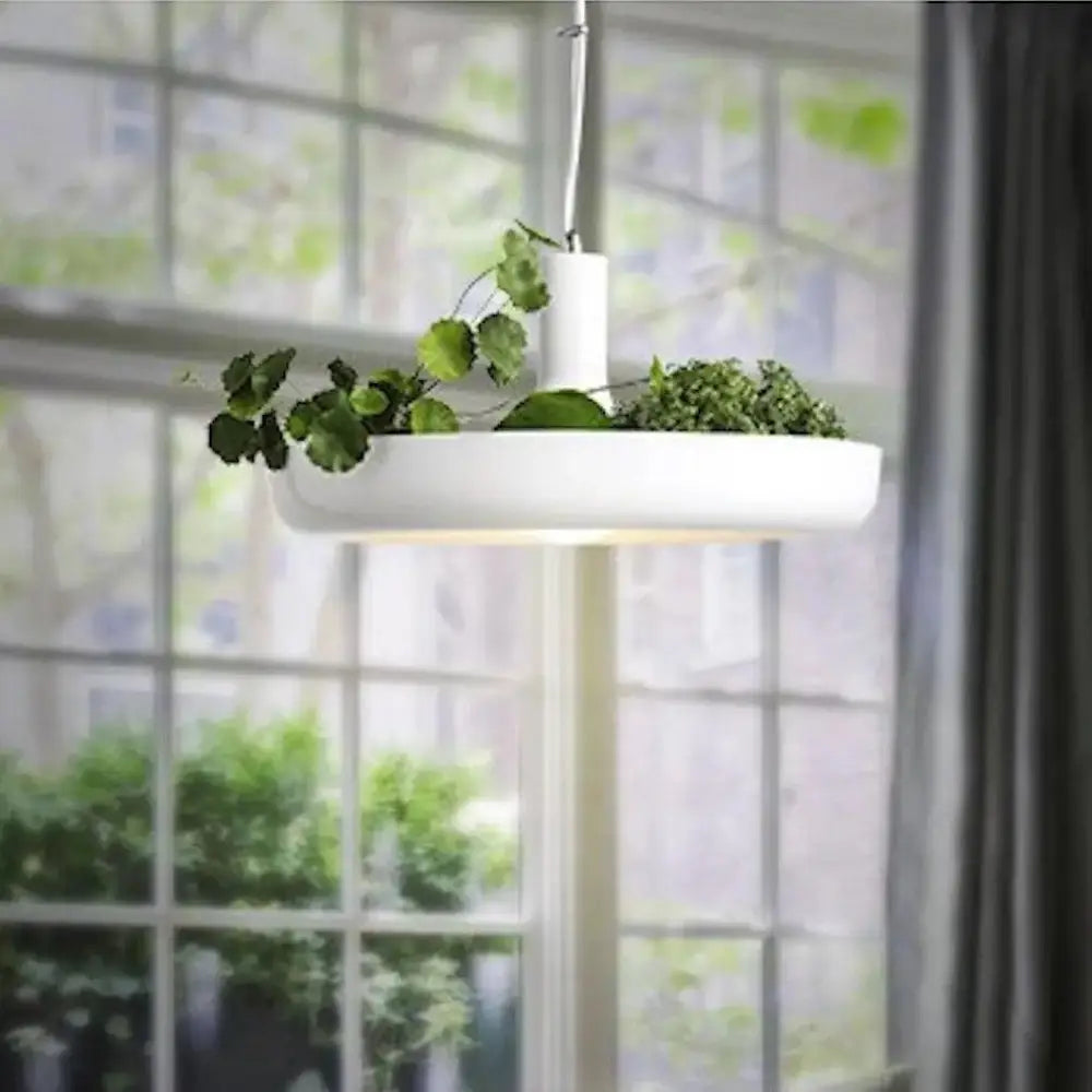 DecorBites™ Planter Pendant Lighting