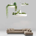 DecorBites™ white circular planter pendant lighting with integrated planters holding lush green foliage