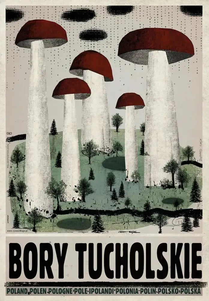 Vintage-style decorbites™ canvas wall art featuring red-capped mushrooms and poland city landmarks forest scene