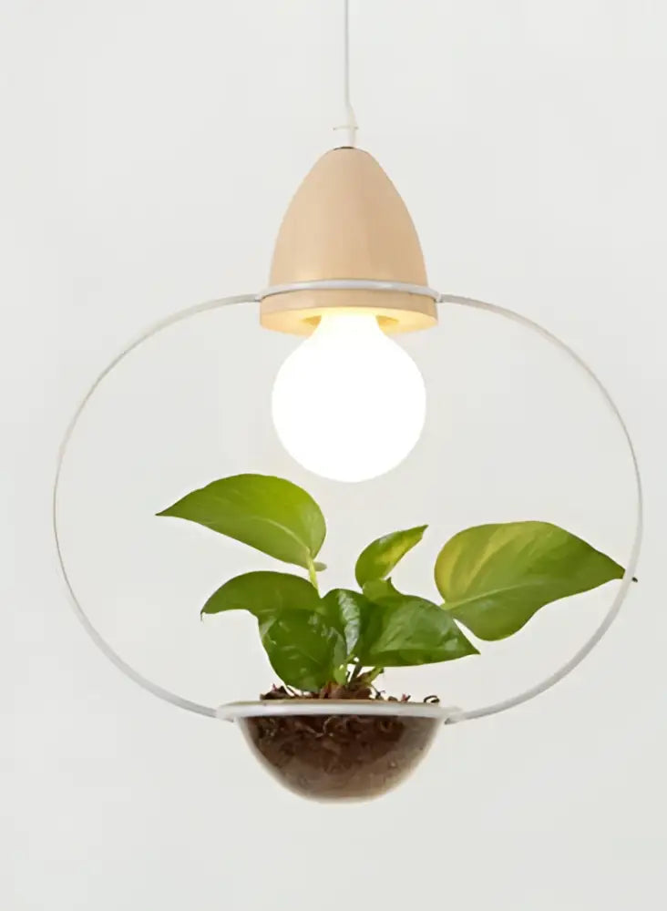 DecorBites™ Pot Pendant Planter Light