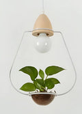 DecorBites™ Pot Pendant Planter Light
