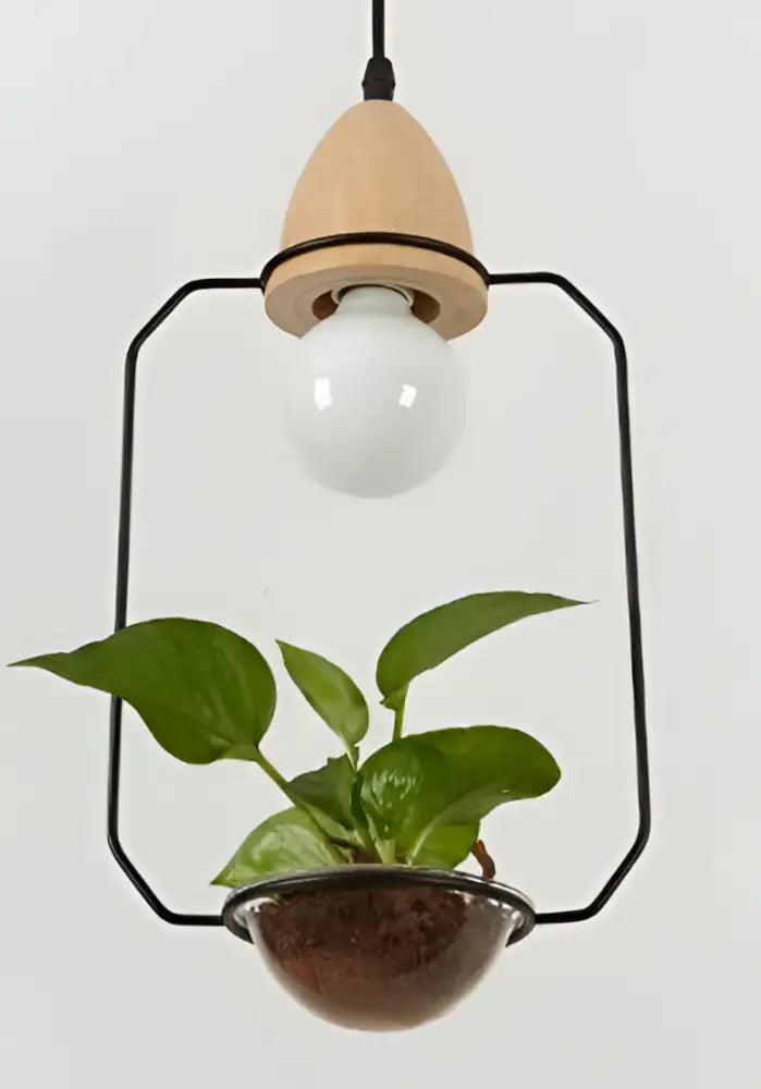 DecorBites™ Pot Pendant Planter Light