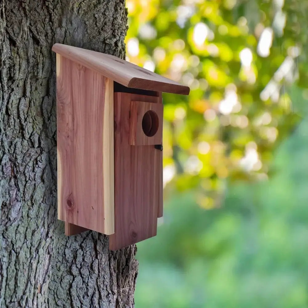 DecorBites™ Red Cedar Bluebird House with Mounting Pole