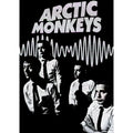 DecorBites™ Retro Arctic Monkeys Singer Poster - Waterproof Wall Art