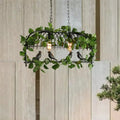 DecorBites™ Retro Birdcage Island Light Fixture - Metal LED Plant Ceiling Lamp in Black, with 2/3/4 Bulbs