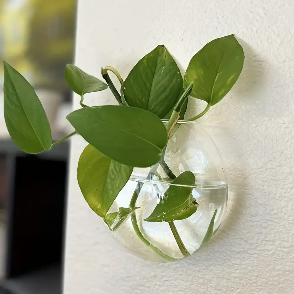 مجموعة تررم زجاجية ذاتية الري من DecorBites™ لديكور المنزل