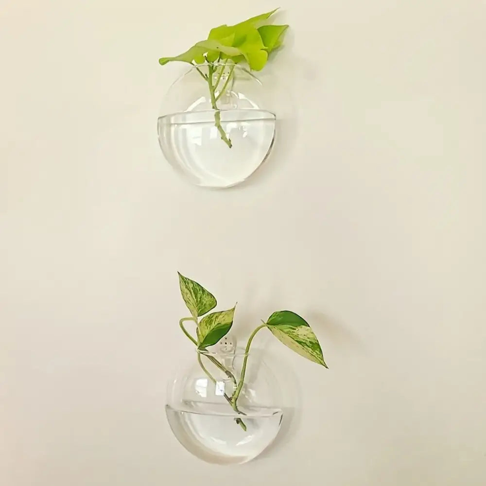 مجموعة تررم زجاجية ذاتية الري من DecorBites™ لديكور المنزل