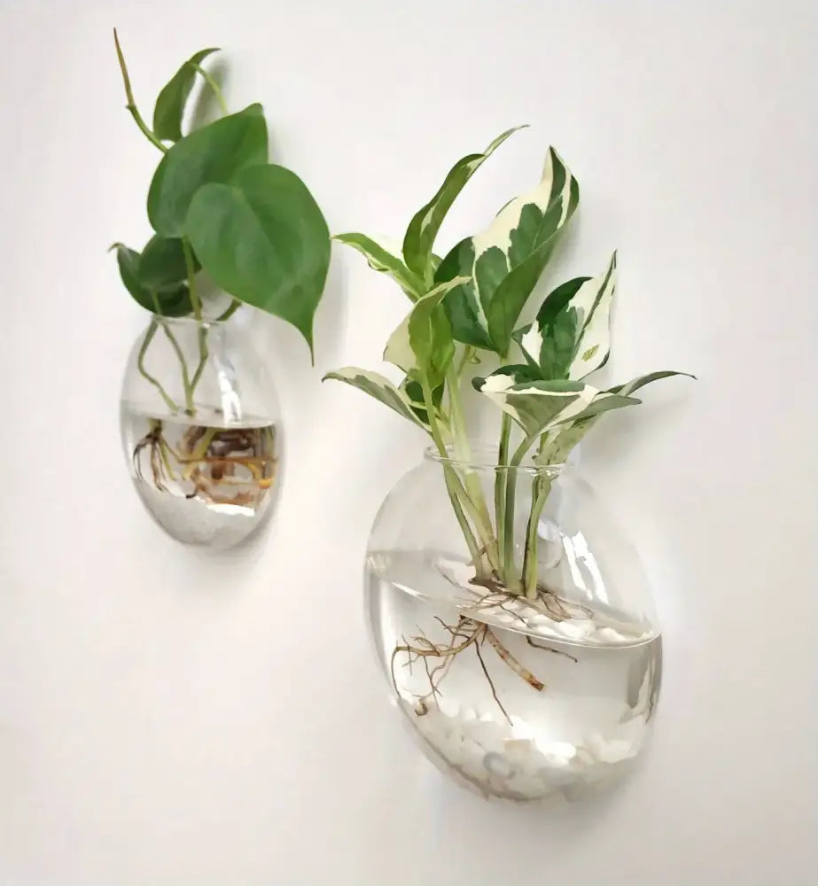 مجموعة تررم زجاجية ذاتية الري من DecorBites™ لديكور المنزل