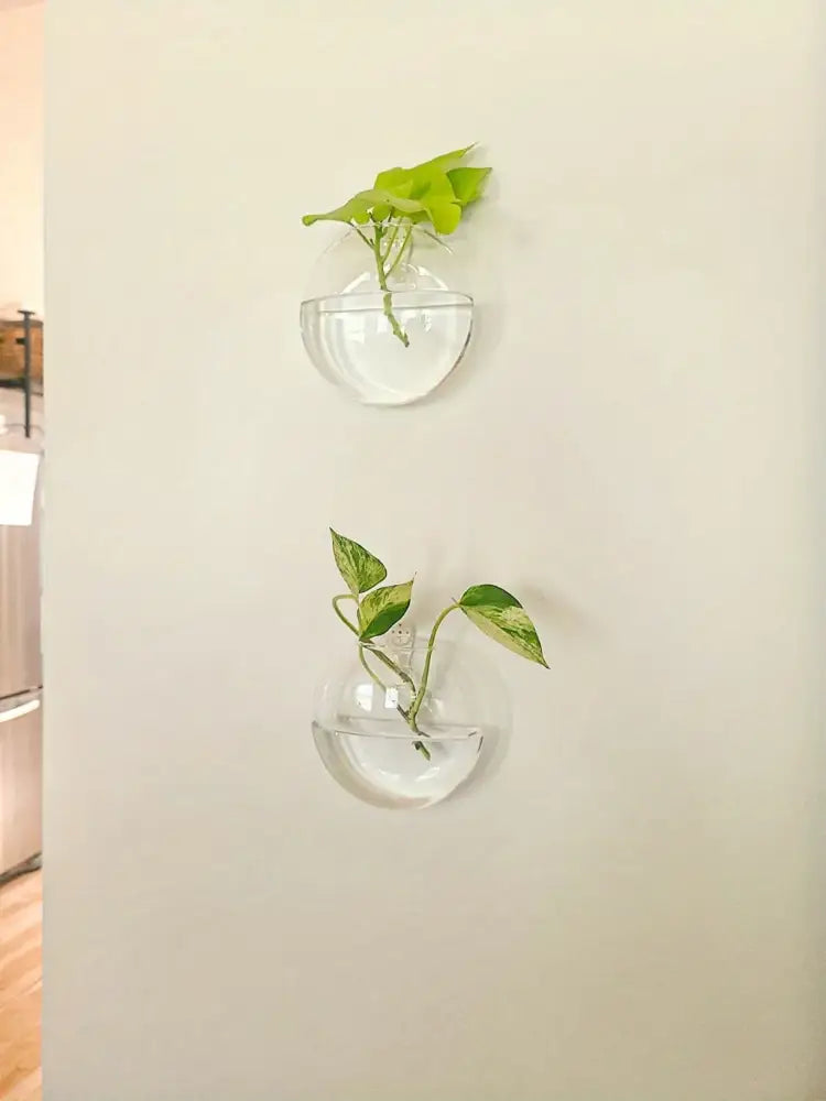 مجموعة تررم زجاجية ذاتية الري من DecorBites™ لديكور المنزل