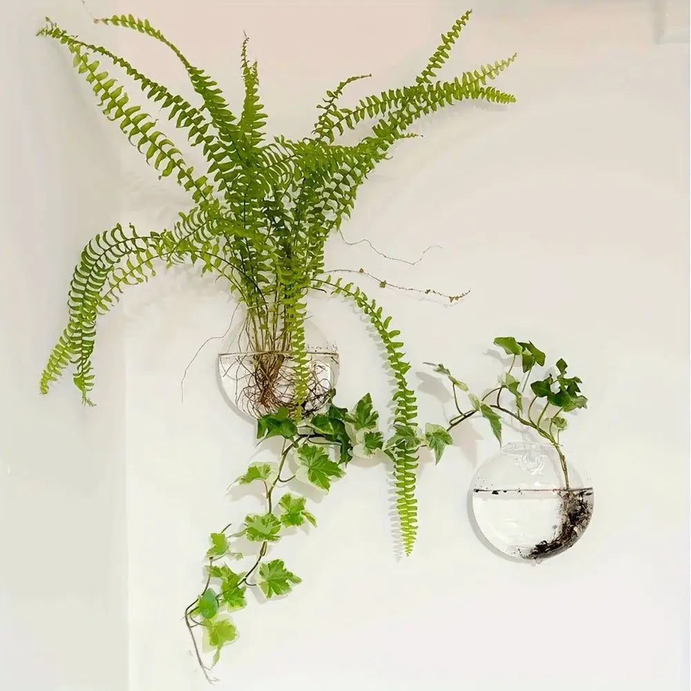 مجموعة تررم زجاجية ذاتية الري من DecorBites™ لديكور المنزل
