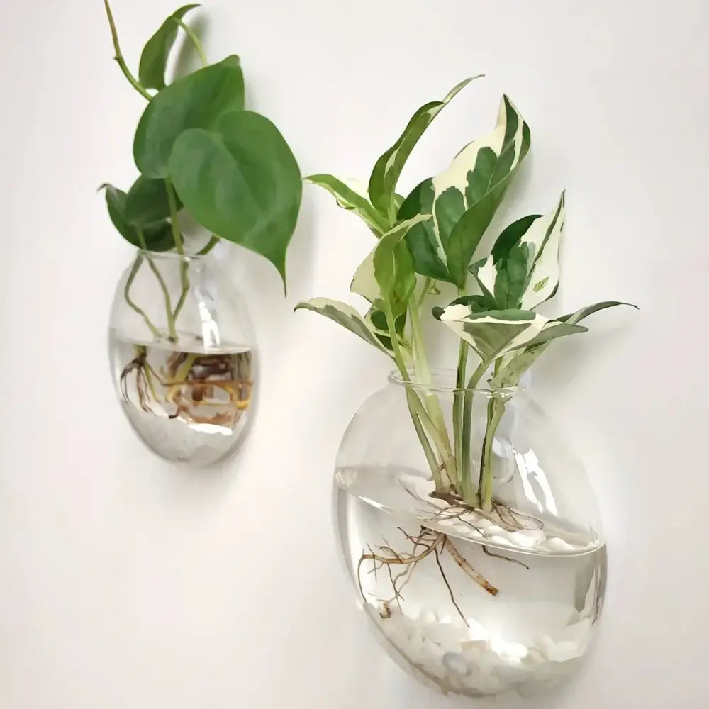 مجموعة تررم زجاجية ذاتية الري من DecorBites™ لديكور المنزل