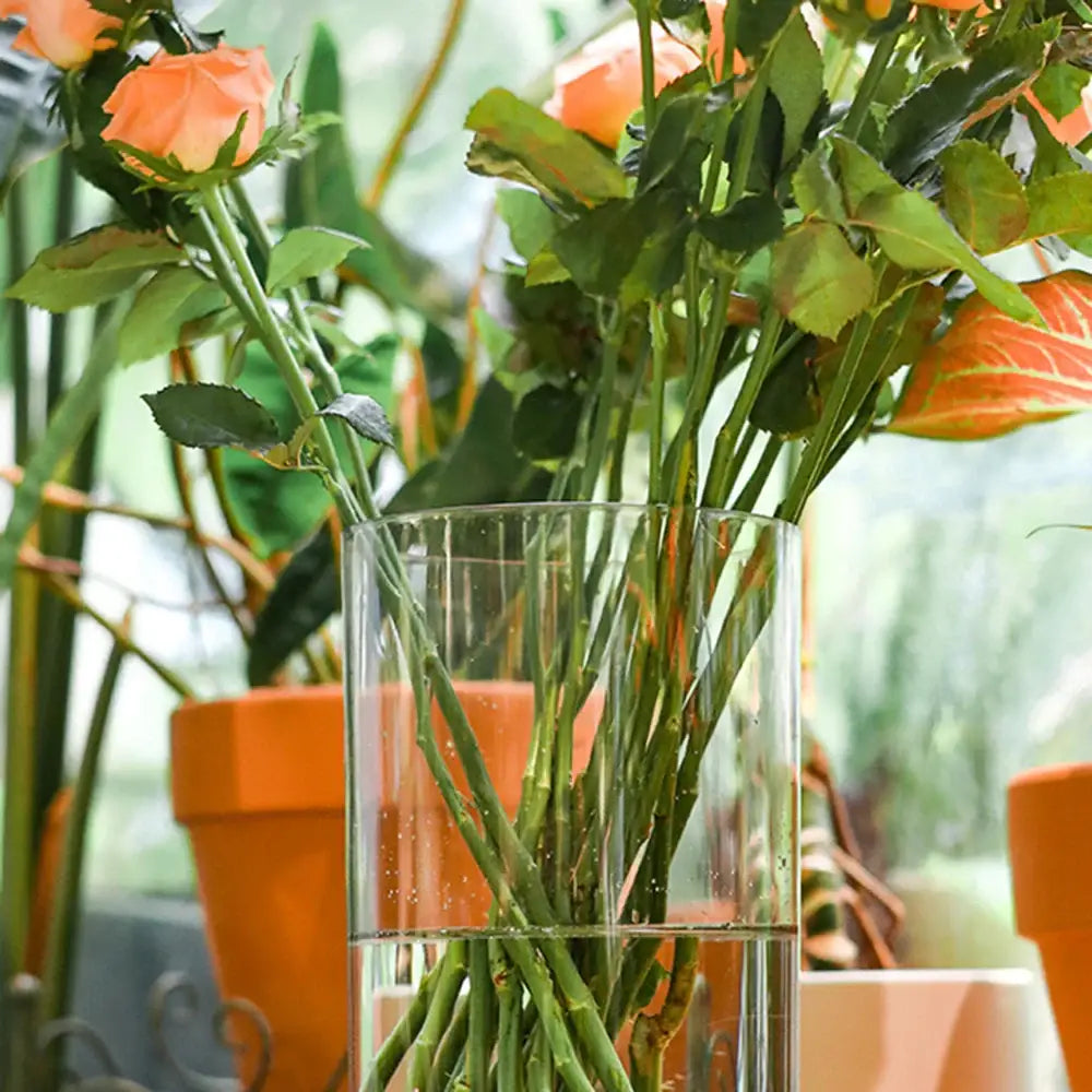 DecorBites shatterproof clear acrylic cylinder vase holding orange roses with green stems and leaves in a clear acrylic cylinder