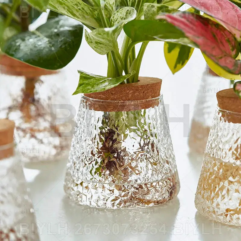 DecorBites™ Small Transparent Glass Vase for Home Decor