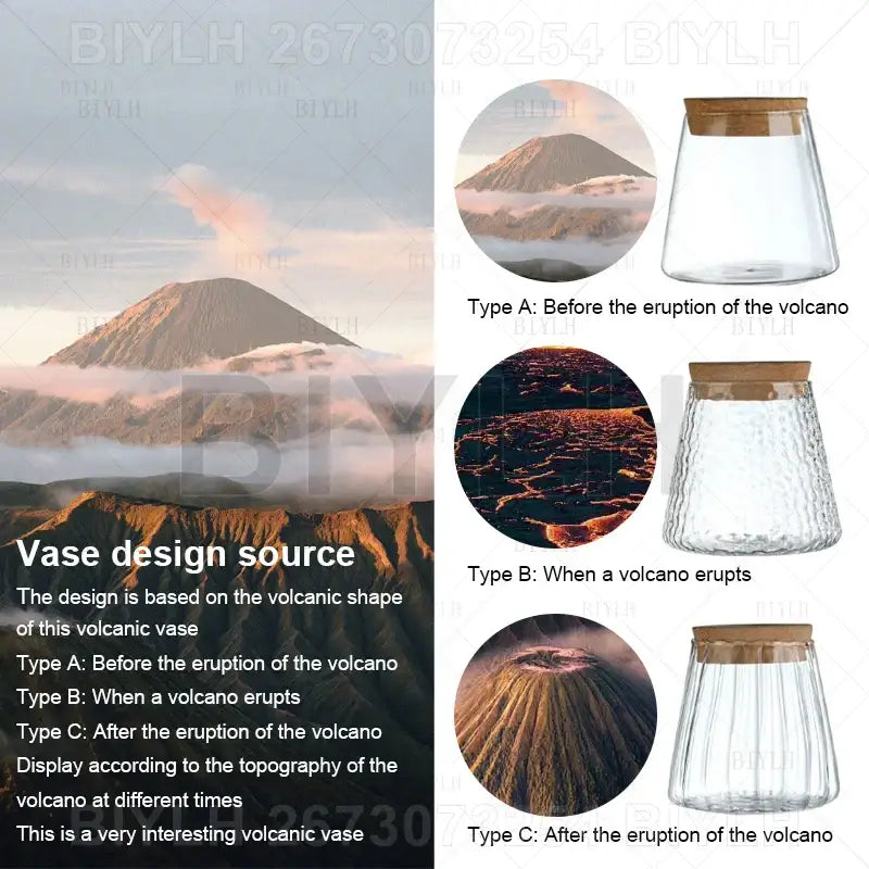 DecorBites™ Small Transparent Glass Vase for Home Decor