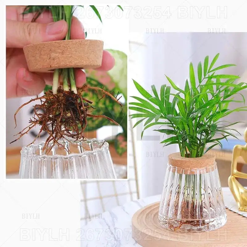 DecorBites™ Small Transparent Glass Vase for Home Decor