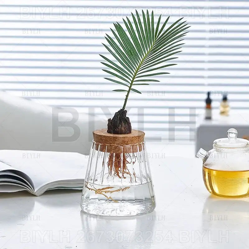 DecorBites™ Small Transparent Glass Vase for Home Decor