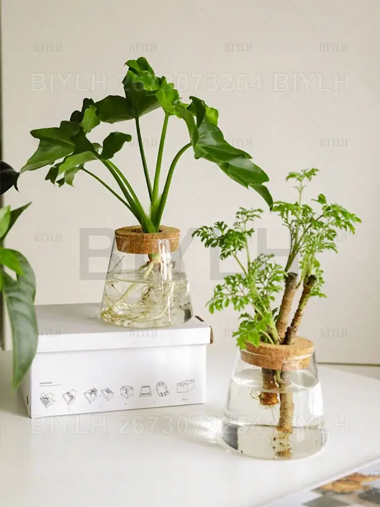 DecorBites™ Small Transparent Glass Vase for Home Decor