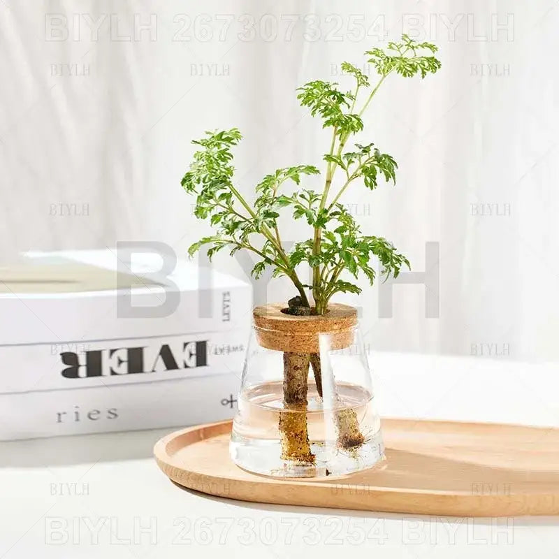 DecorBites™ Small Transparent Glass Vase for Home Decor