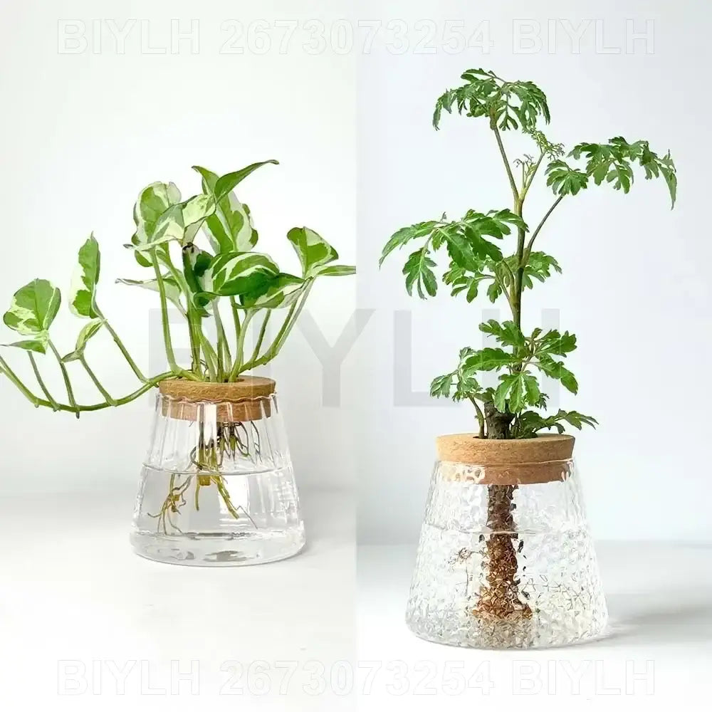 DecorBites™ Small Transparent Glass Vase for Home Decor