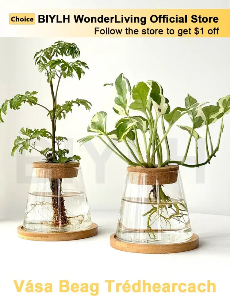 DecorBites™ Small Transparent Glass Vase for Home Decor