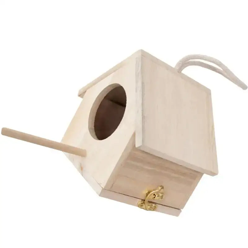DecorBites™ Squirrel Feeder Birdhouse Kit with Hummingbird Camera
