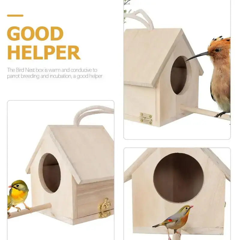 DecorBites™ Squirrel Feeder Birdhouse Kit with Hummingbird Camera