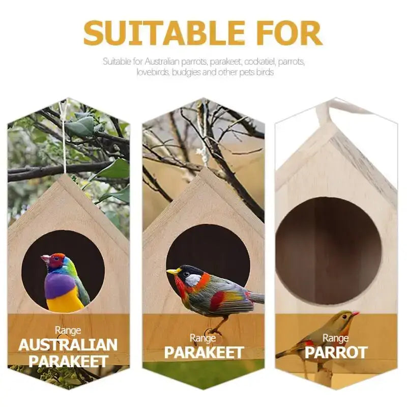 DecorBites™ Squirrel Feeder Birdhouse Kit with Hummingbird Camera