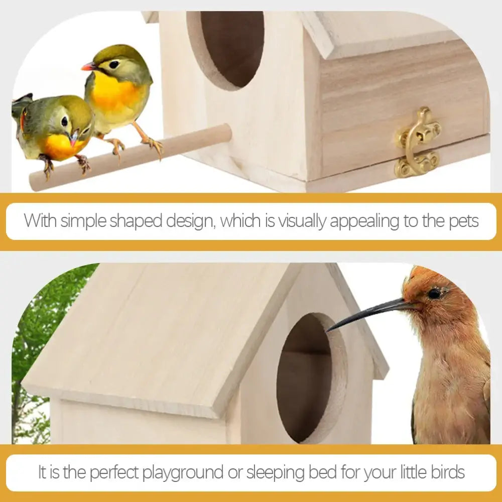 DecorBites™ Squirrel Feeder Birdhouse Kit with Hummingbird Camera