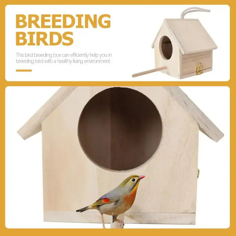 DecorBites™ Squirrel Feeder Birdhouse Kit with Hummingbird Camera