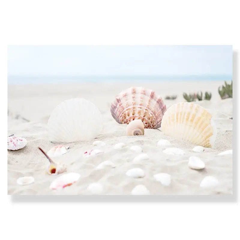 DecorBites™ Art Mural sur Toile Coquillages Plage d'Été