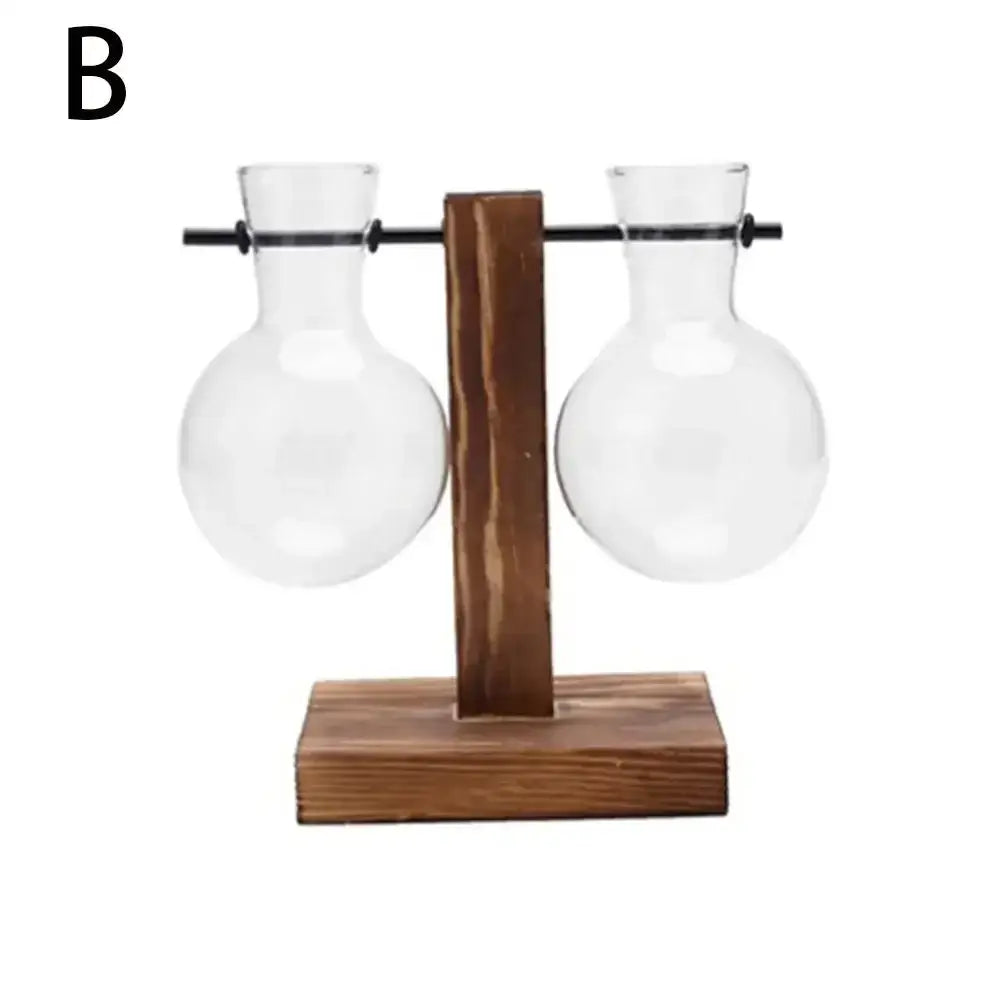DecorBites™ Transparent Avocado Seed Starter Vase