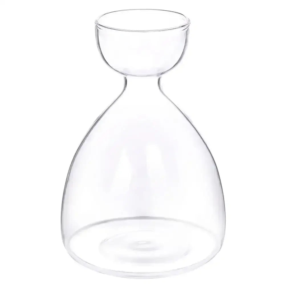 DecorBites™ Transparent Avocado Seed Starter Vase