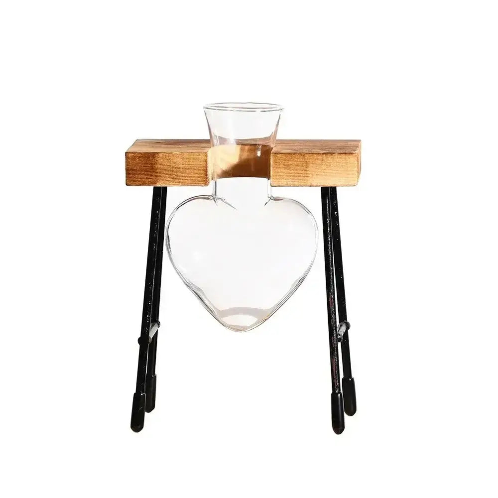 DecorBites™ Transparent Avocado Seed Starter Vase