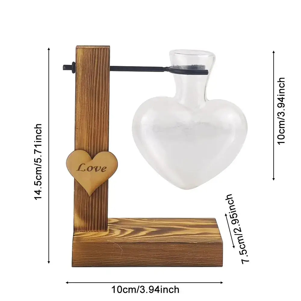 DecorBites™ heart-shaped glass avocado seed starter vase with wooden stand and love accent for avocado seed growth