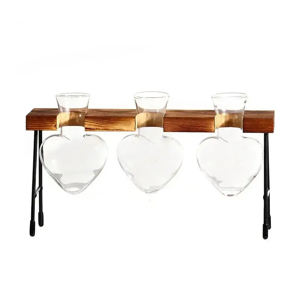 DecorBites™ Transparent Avocado Seed Starter Vase