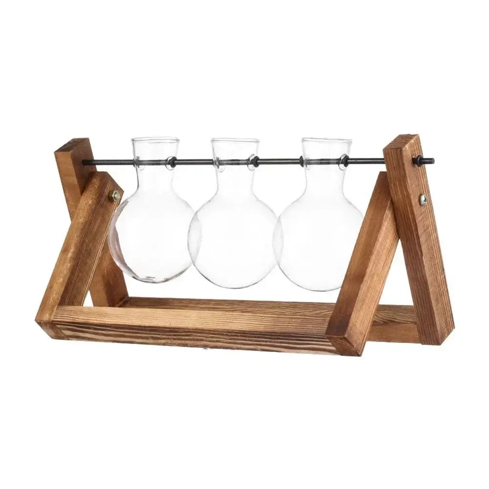 DecorBites™ Transparent Avocado Seed Starter Vase