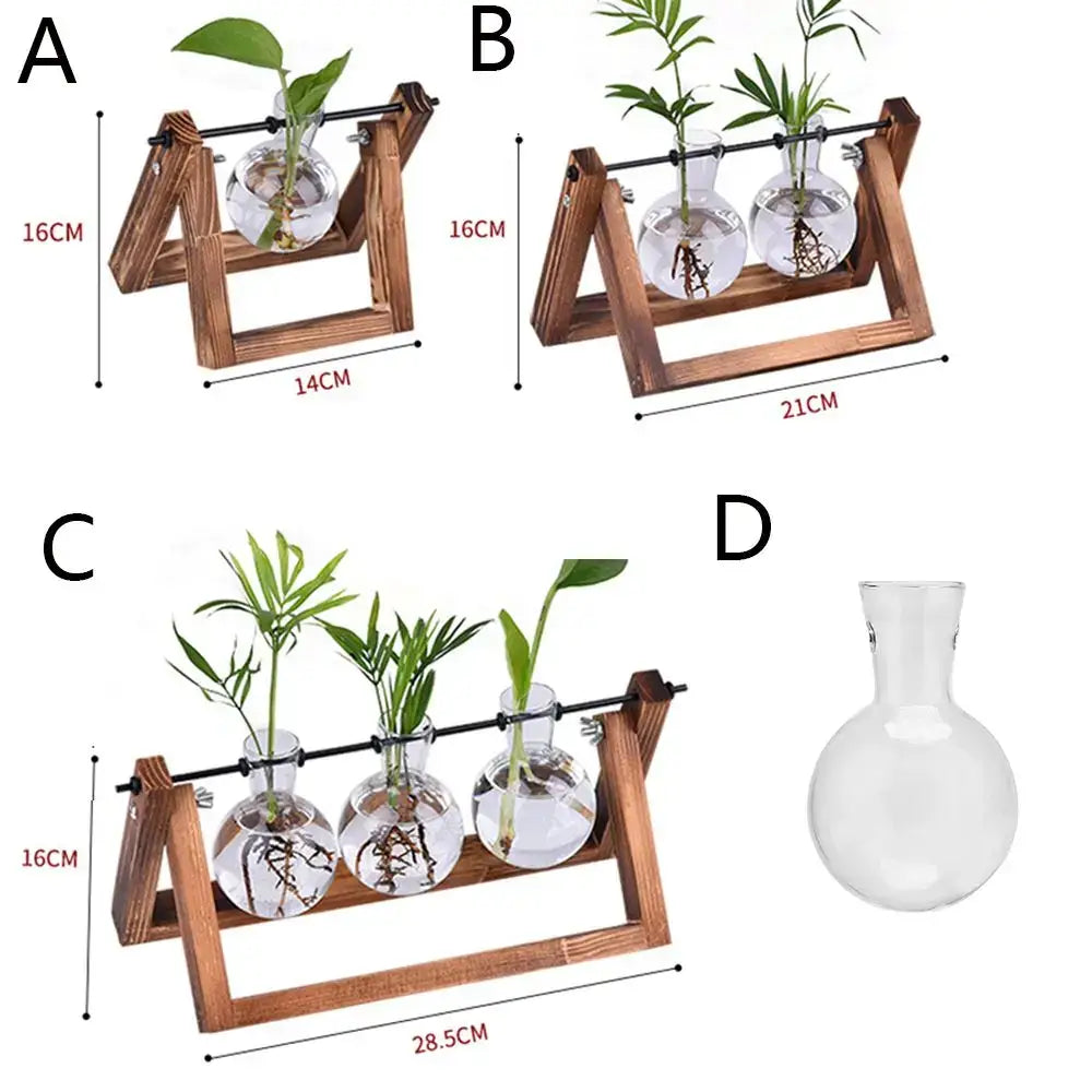 Wooden triangular stand with three clear glass vials holding green plants for avocado seed starter use