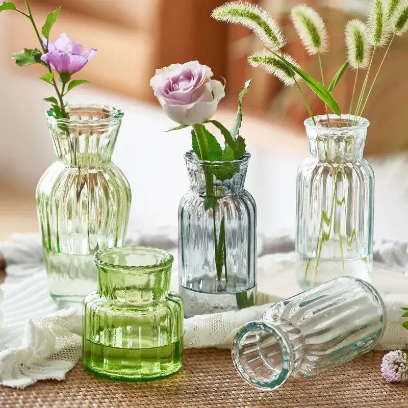 DecorBites™ Transparent Nordic Vase for Plants and Flowers