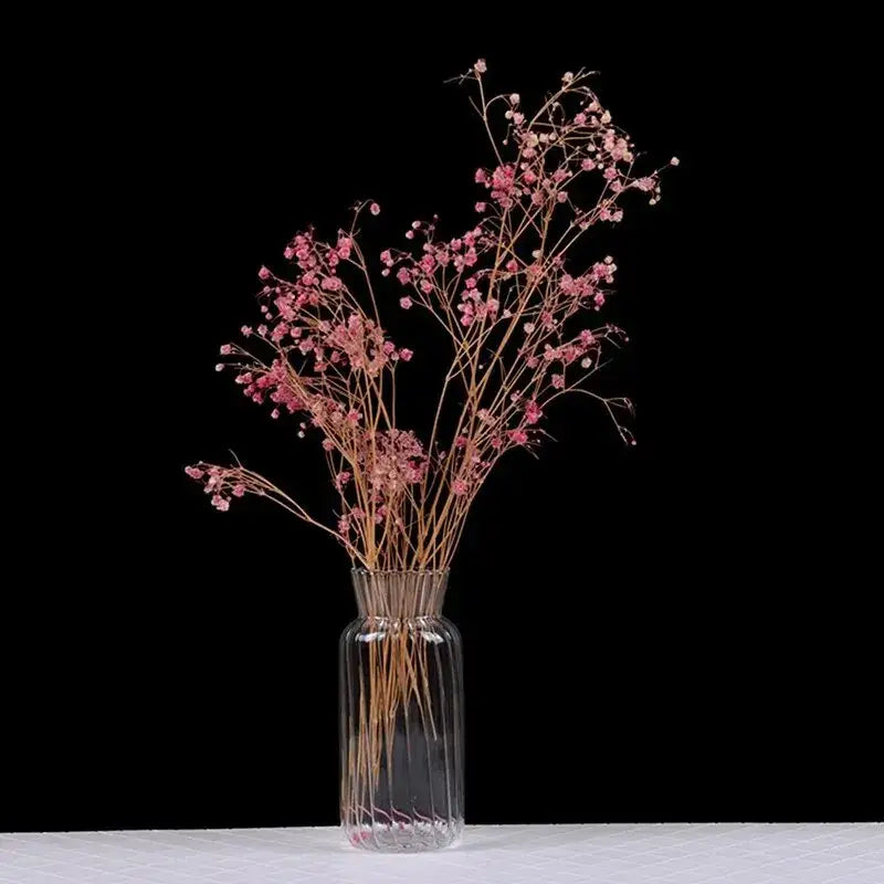 DecorBites™ Transparent Nordic Vase for Plants and Flowers
