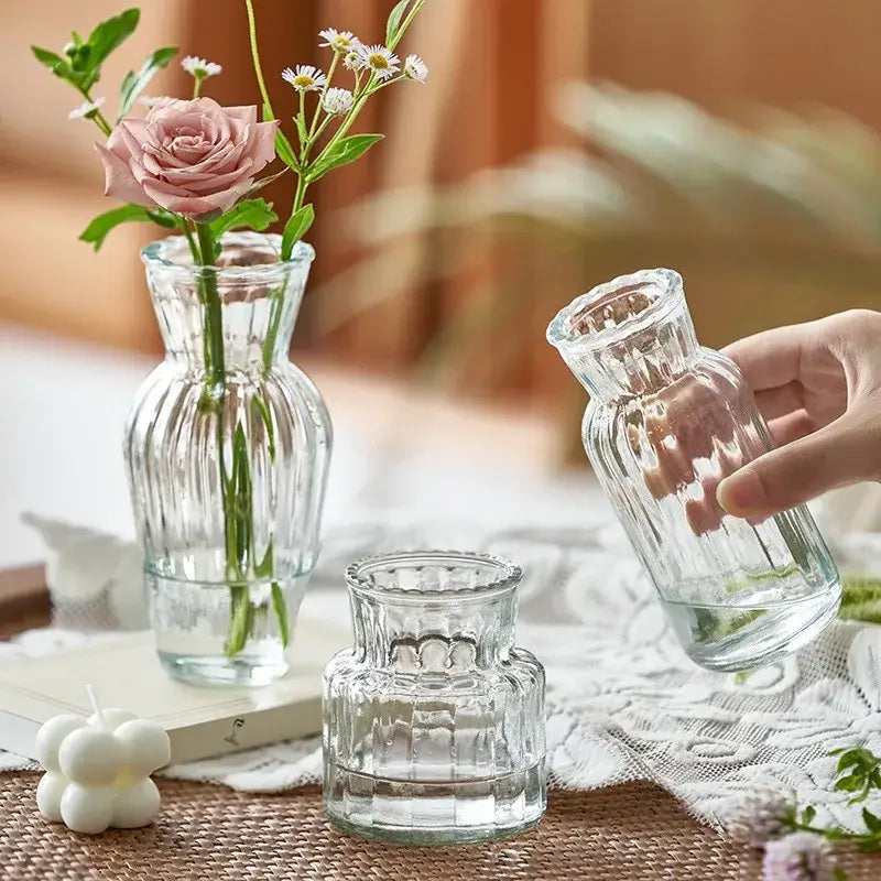 DecorBites™ Transparent Nordic Vase for Plants and Flowers
