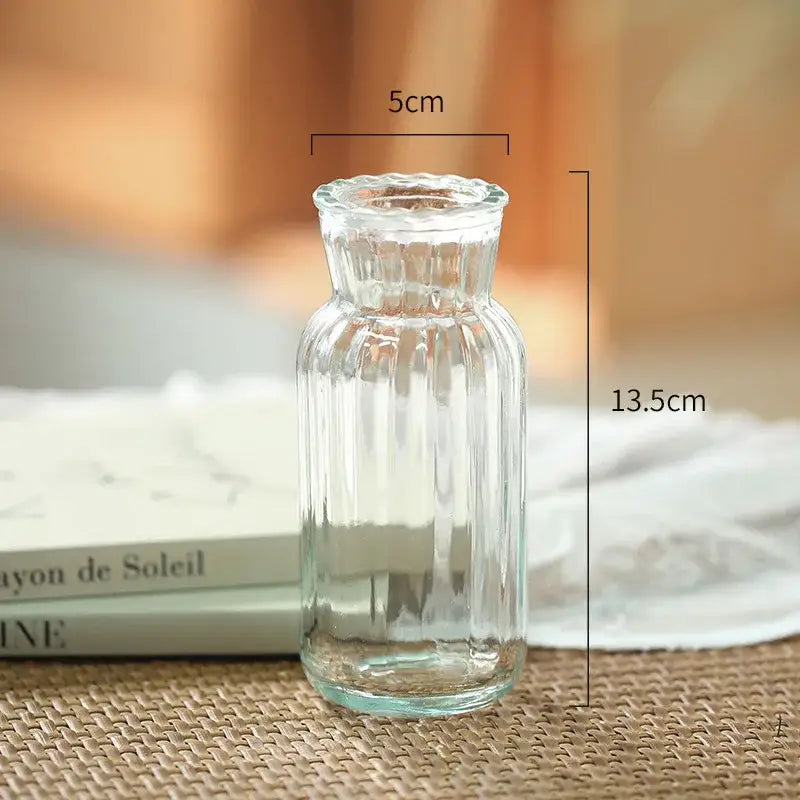 DecorBites™ Transparent Nordic Vase for Plants and Flowers