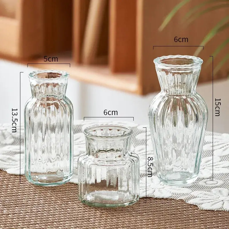 DecorBites™ Transparent Nordic Vase for Plants and Flowers
