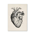 Decorbites™ vintage anatomy canvas art print featuring detailed labeled anatomical heart diagram on beige textured background